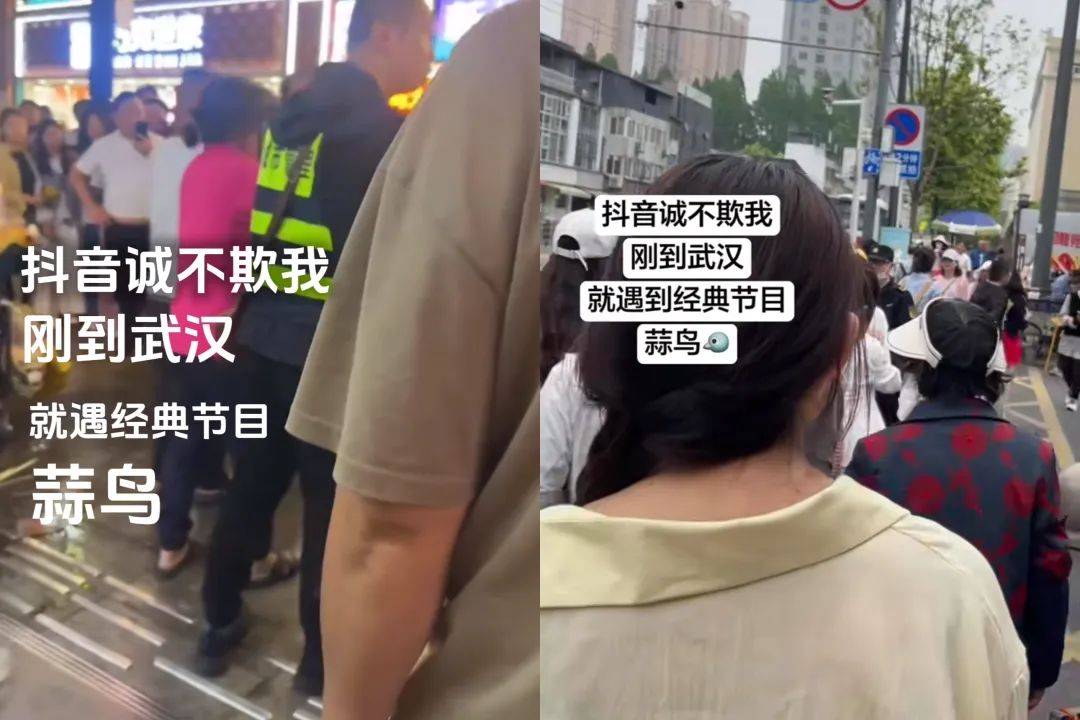 武汉话“蒜鸟”，最近劝（添）架（乱）唯一指定用语