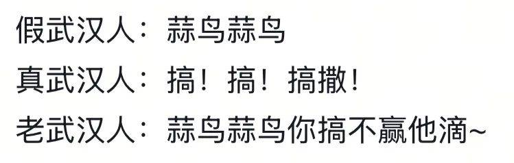 武汉话“蒜鸟”，最近劝（添）架（乱）唯一指定用语
