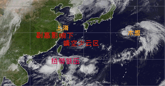 上海高温何时休？有盼头了！夏天越来越热需警惕“情绪中暑”