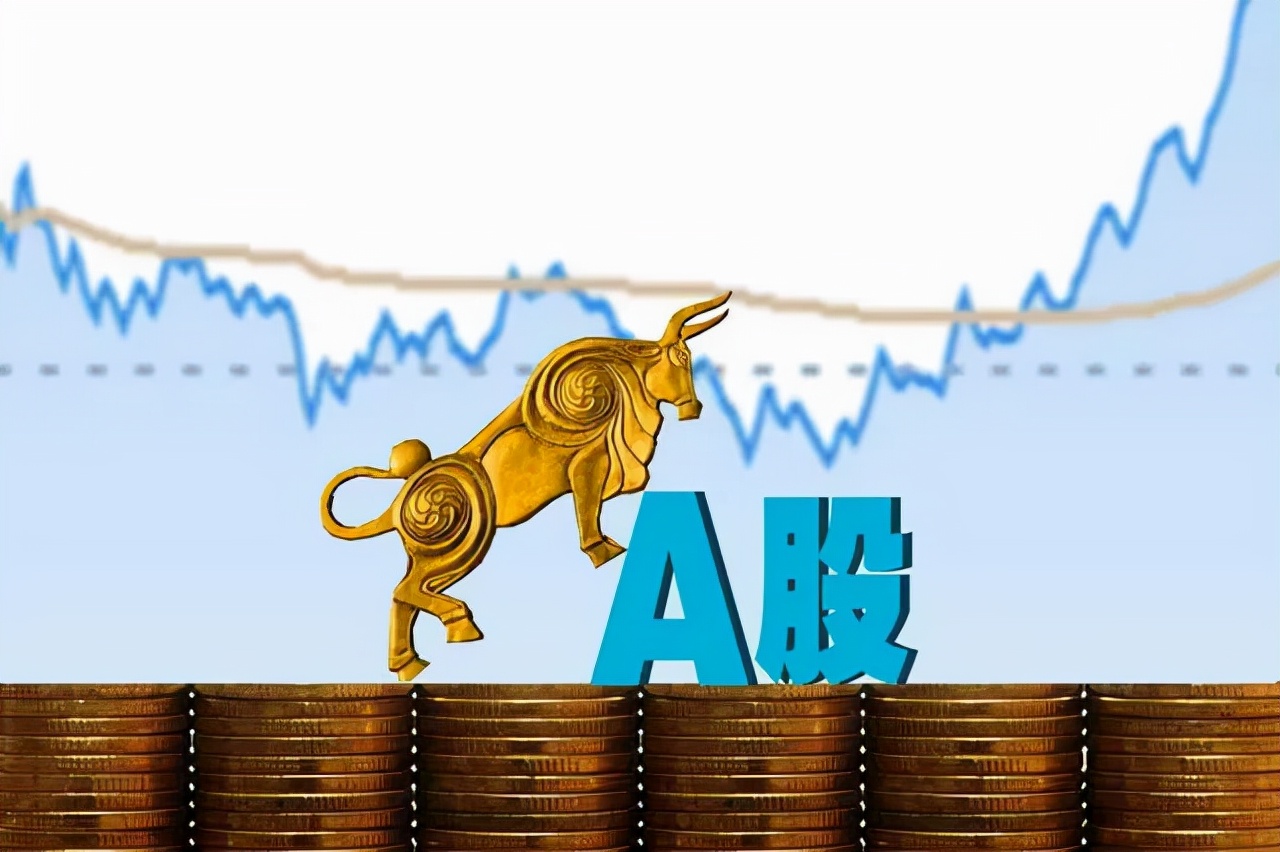 散户选哪个证券公司好(散户选哪个证券公司好app)