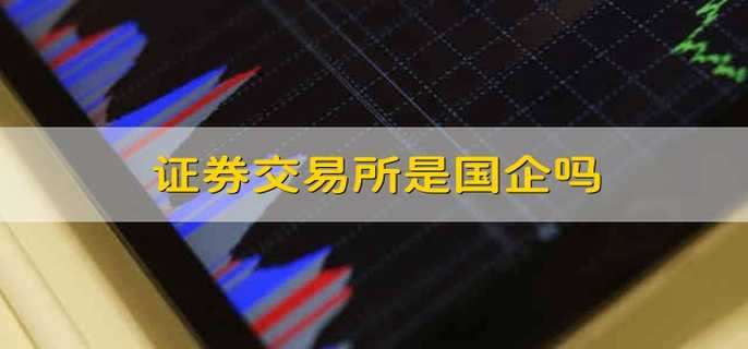 中国证券交易所(中国证券交易所历史)