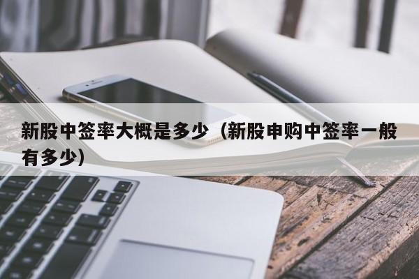 什么是证券中签(什么是证券中签号)