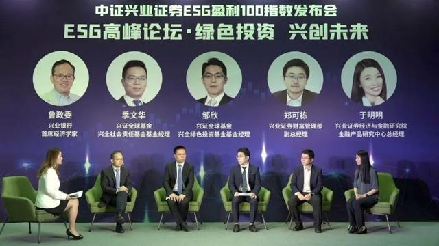 中证证券官网(中证证券公司)