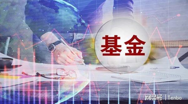 中国证券基金协会官网(中国证券基金协会官网首页)