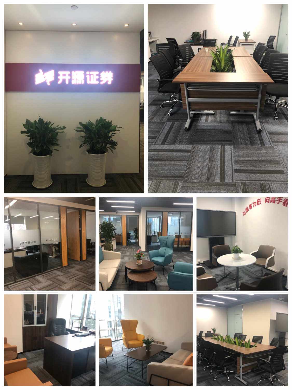 第一证券官网(美国第一证券官网)