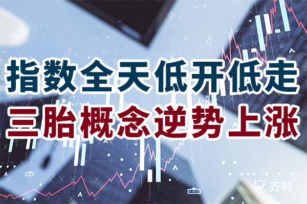 证券概念(名词解释证券)